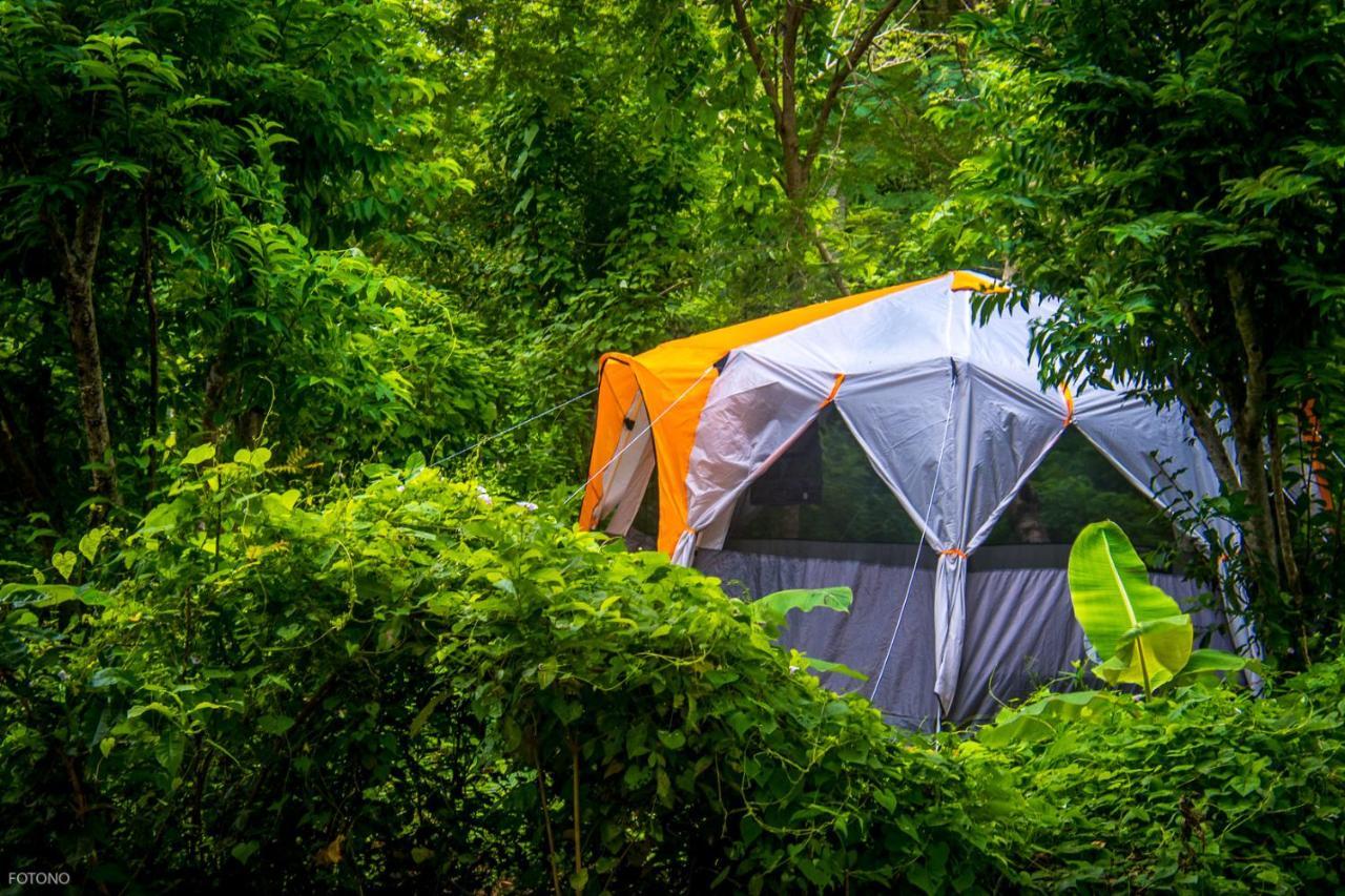ホテルCayuco Camping Baru Santa Ana  エクステリア 写真